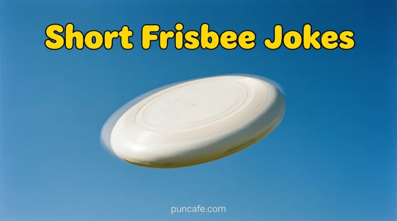 Short One-Liner Frisbee Jokes