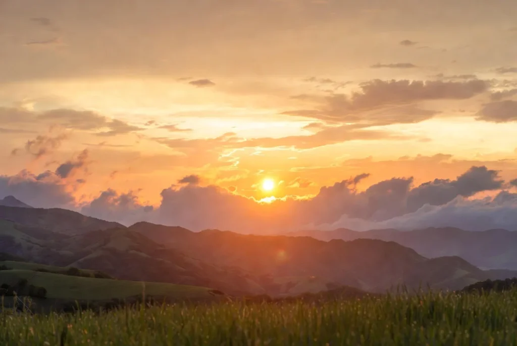 Morning Sunshine Spring Equinox Puns