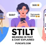 stilt meaning