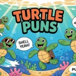 Turtle Puns